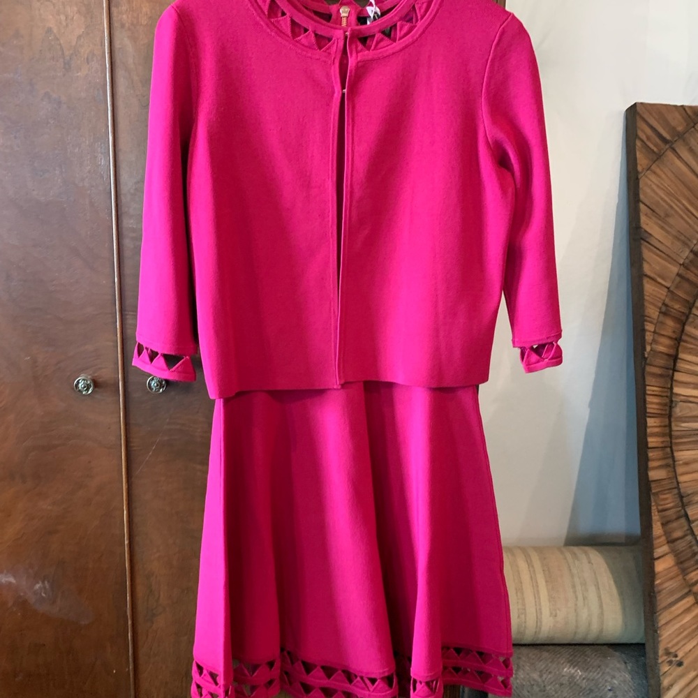 Ted Baker Fit - n - Flare Dress -NWT